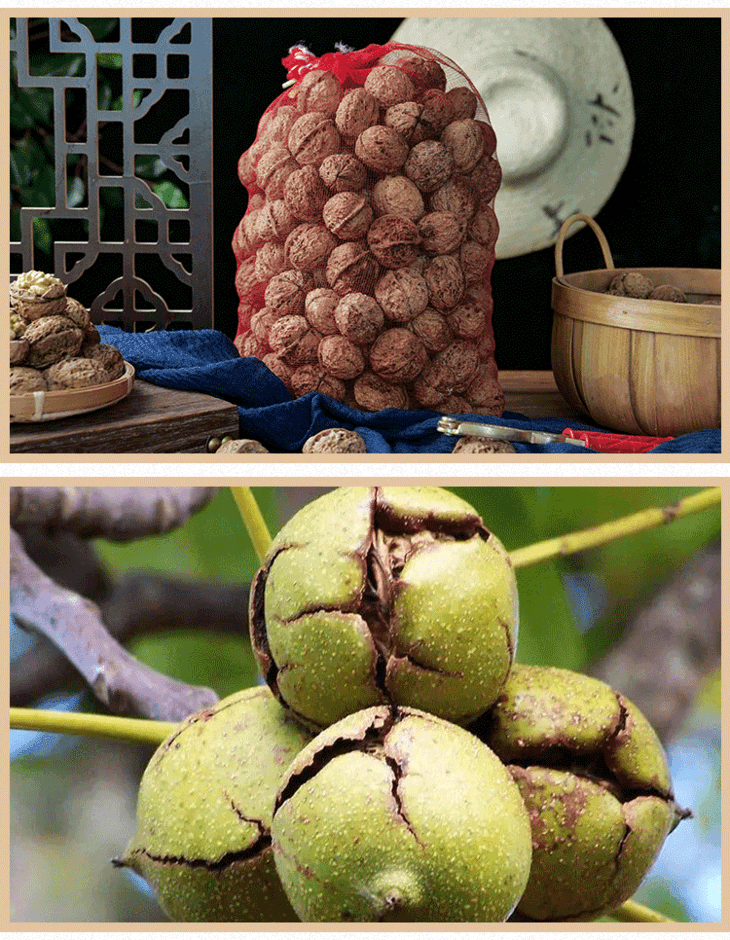 贵州深山核桃 5斤装 顺丰包邮 苗家圆圆 - 苗家圆圆1