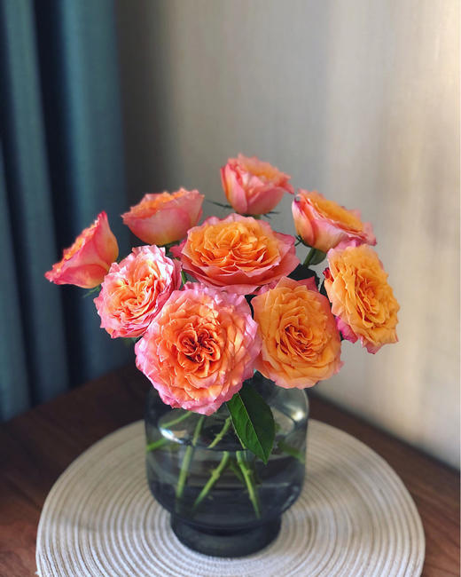 火灵鸟玫瑰【你是不死鸟，浴火涅槃，生生不息】简小姐精选 稀有热情橙黄色渐变进口品种卷边玫瑰-火灵鸟 9+1枝(防花损）2束包邮 48小时发货 商品图14