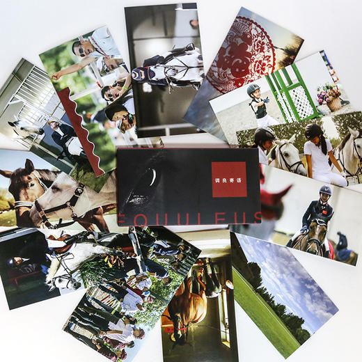 天星调良马术明信片 商品图2