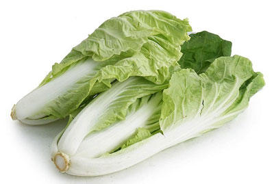 抢购价2元斤新鲜奶白菜