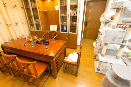 东莞慢姑娘天月猫别墅轰趴 商品图10