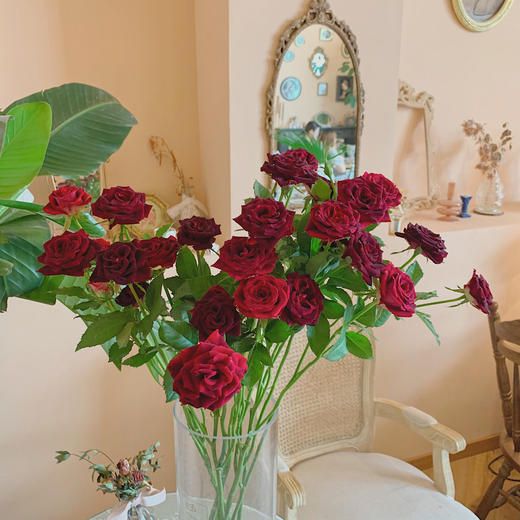 多头紫罗兰【你说的每句漫不经心的话，都在我心头开出了漫山遍野的花】简小姐精选 新品复古高贵暗红色绒多头玫瑰 紫罗兰 9+1枝(防花损）2束包邮 72小时发货 商品图9