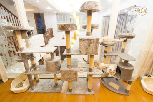 东莞慢姑娘天月猫别墅轰趴 商品图8