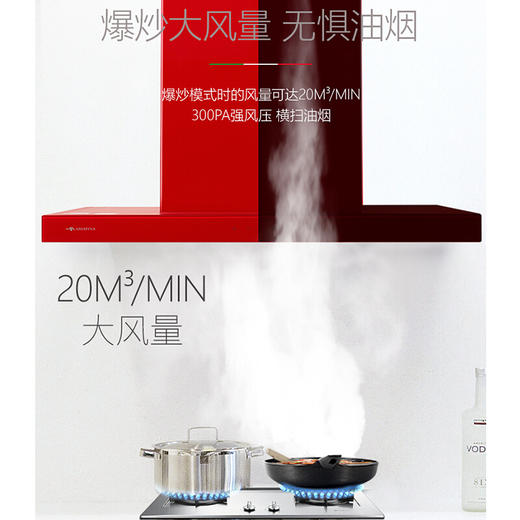 爱莉菲尼（ARIAFINA）顶吸欧式大吸力自清洁抽排油烟机CXW-256-FD260E 商品图3