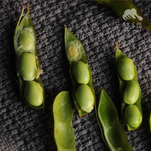 生态毛豆 | 合作生产*Eco green soy bean | Coproduction 商品图2