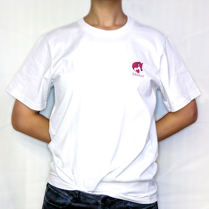 天星短袖圆领公益衫