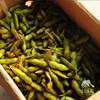 生态毛豆 | 合作生产*Eco green soy bean | Coproduction 商品缩略图4