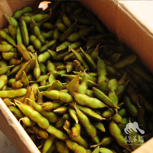 生态毛豆 | 合作生产*Eco green soy bean | Coproduction 商品图4