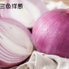新疆洋葱 三色混合5斤装 商品缩略图4