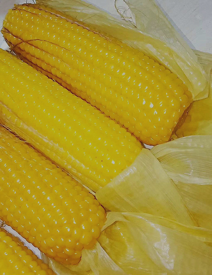 下单3天内发货自营小黄粘玉米棒黑龙江直发不支持货到付款