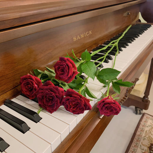 多头紫罗兰【你说的每句漫不经心的话，都在我心头开出了漫山遍野的花】简小姐精选 新品复古高贵暗红色绒多头玫瑰 紫罗兰 9+1枝(防花损）2束包邮 72小时发货 商品图11