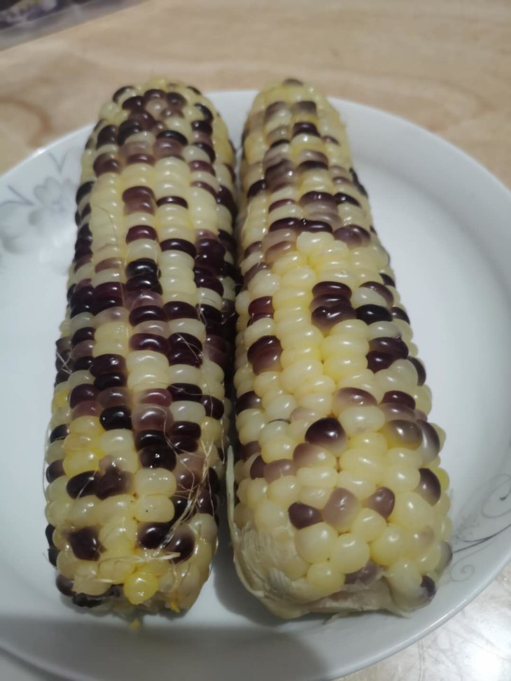 包您好吃10元4个精选东北紫花糯玉米