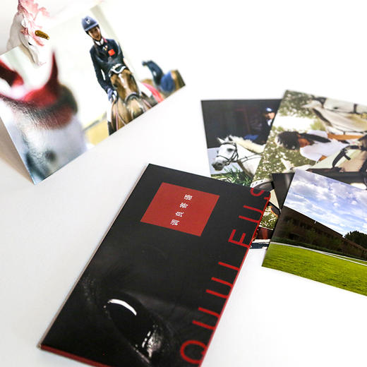 天星调良马术明信片 商品图3