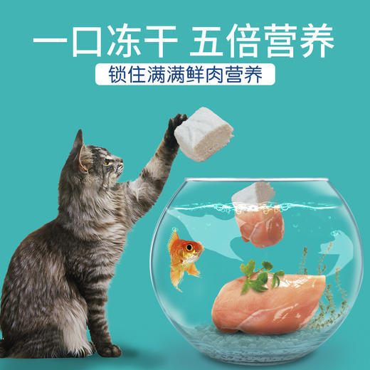 麦富迪猫零食猫冻干鸡胸肉幼猫小鱼干冻干猫粮猫咪小零食宠物零食 商品图4