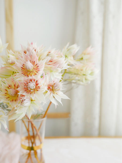 新娘花【你我有幸，一起说声我愿意】简小姐精选 南非进口超稀有高端仙女系花材 新娘花 2束包邮 下单5天发货 商品图7