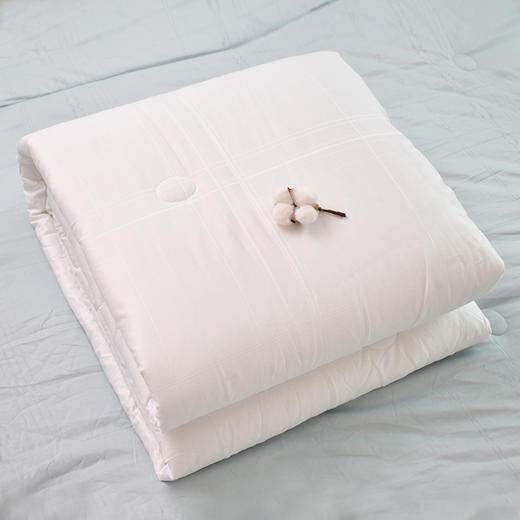 新疆60s长绒棉提花被芯柔软蓬松四季通用被子200*230被芯 商品图3