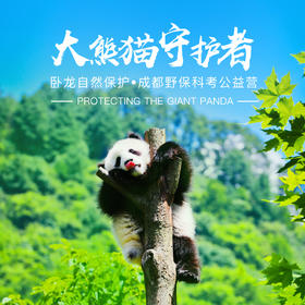 四川大熊猫守护者