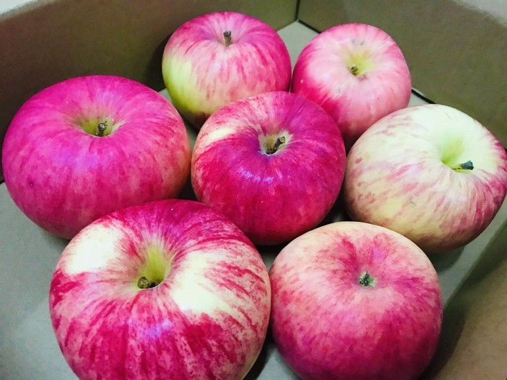 两款耐吃有趣的香苹果