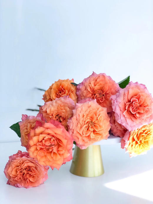 火灵鸟玫瑰【你是不死鸟，浴火涅槃，生生不息】简小姐精选 稀有热情橙黄色渐变进口品种卷边玫瑰-火灵鸟 9+1枝(防花损）2束包邮 48小时发货 商品图10