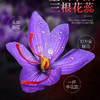藏红花，一盒5g 商品缩略图2