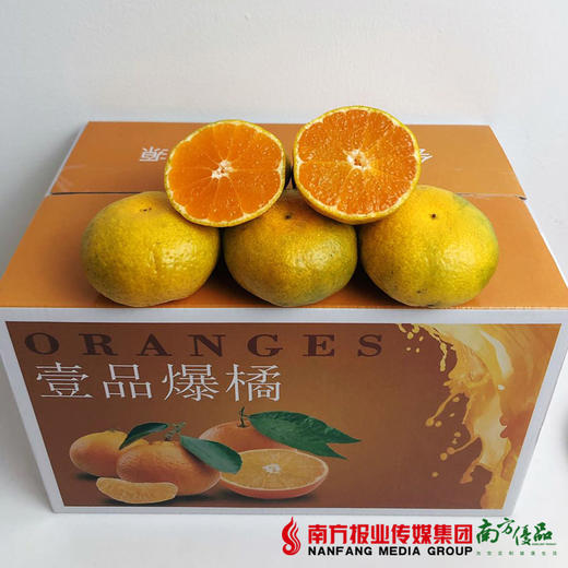 【全国包邮】壹品爆橘 4.5斤±2两/箱 约18-23个果（72小时内发货） 商品图3