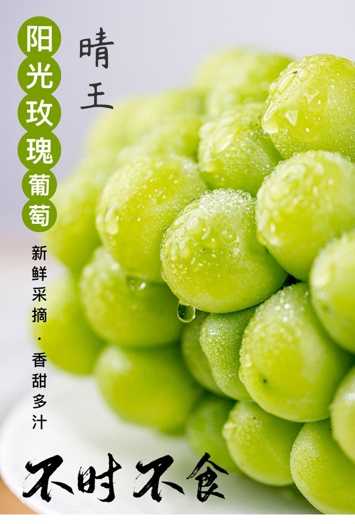 【 周二下午送达】晴王葡萄(热带果园)净重约4.5斤