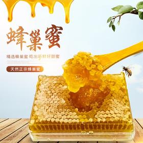 进然蜂巢蜜485g  线上