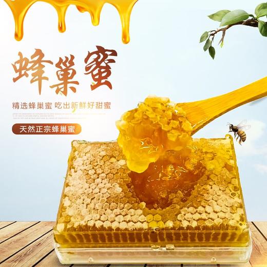 进然蜂巢蜜485g  线上 商品图0