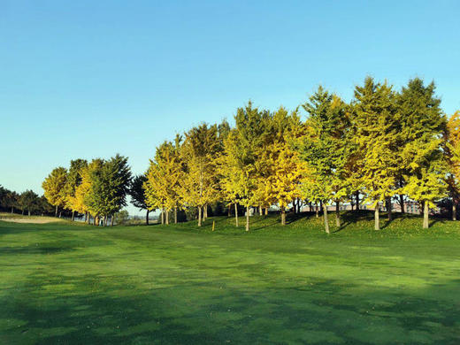 北京龙熙温泉高尔夫球会 商品图5