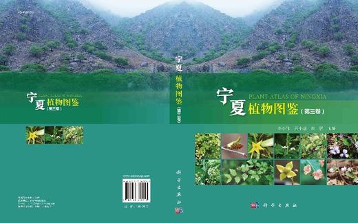 宁夏植物图鉴（第三卷）李小伟 吕小旭 朱强 商品图3