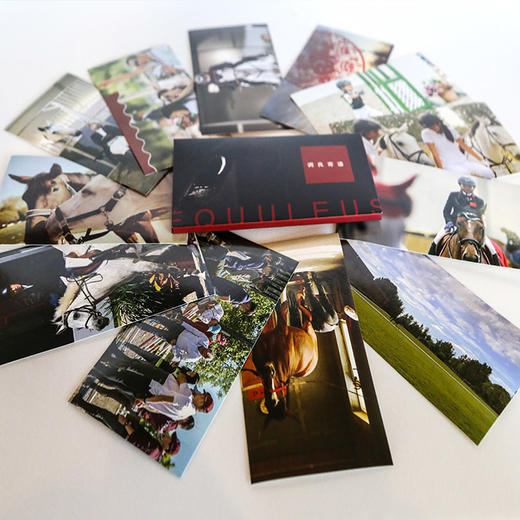 天星调良马术明信片 商品图1