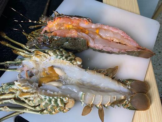 野生海捕小青龙套餐 4斤 商品图0