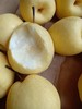 【清甜无渣，】山西文水贡梨  11.22 商品缩略图1