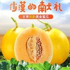 黄金蜜瓜 1个/约2000g 商品缩略图12