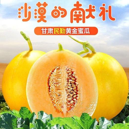 黄金蜜瓜 1个/约2000g 商品图12