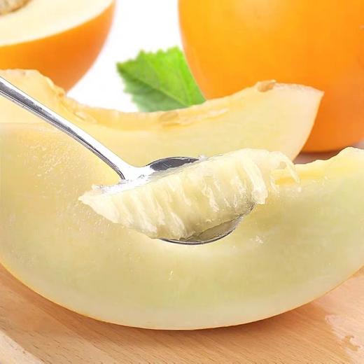 黄金蜜瓜 1个/约2000g 商品图6