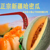 哈密瓜 1个/约1750g 商品缩略图2