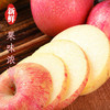 秋香 苹果5-6个/约1500g 商品缩略图1