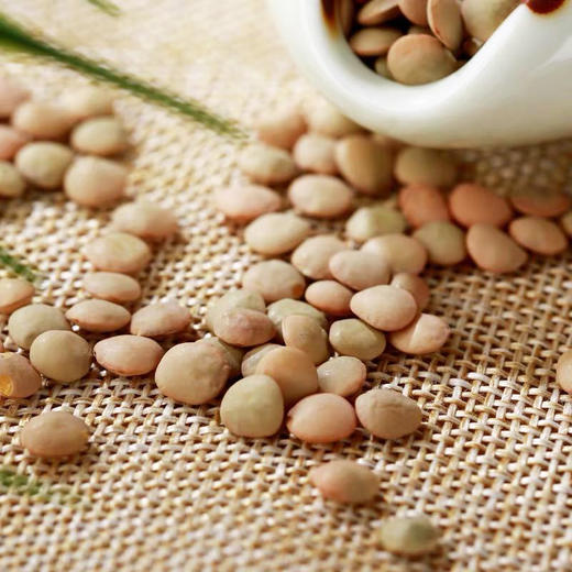 静宁县小扁豆500g*2 建议放置阴凉干燥通风处 商品图2