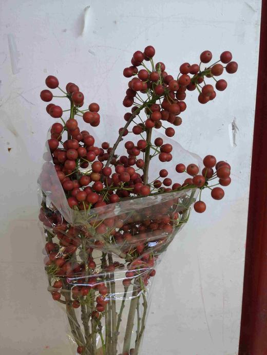 配花-国产冬青 商品图2