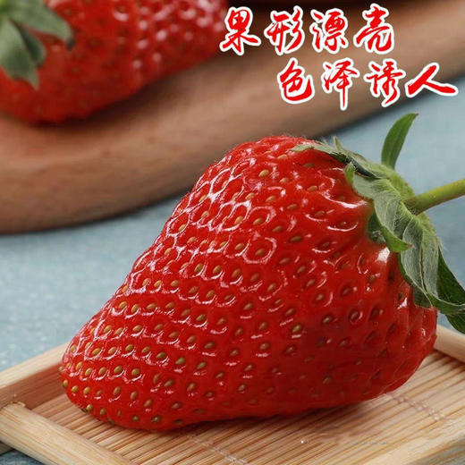 精选丹东99草莓 商品图3