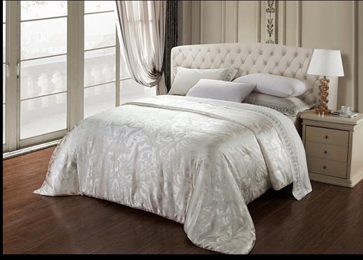 【6F】罗卡芙艾琳王妃桑蚕丝春秋被240*240cm 商品图0