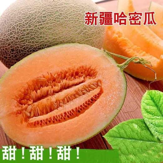 哈密瓜 1个/约1750g 商品图6