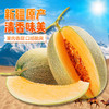 哈密瓜 1个/约1750g 商品缩略图4
