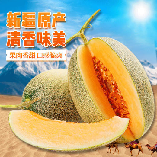 哈密瓜 1个/约1750g 商品图4