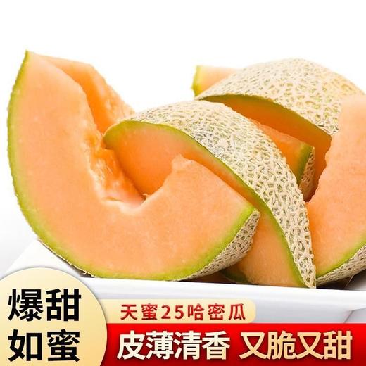 哈密瓜 1个/约1750g 商品图5