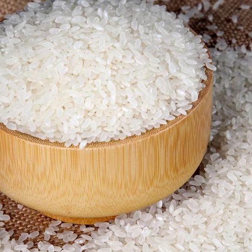 庆安双洁大米 地理标志认证 稻香2号 10斤/袋