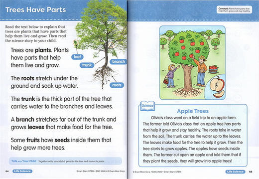 聪慧启蒙系列 核心素养教育 科学练习册 幼儿园大班 英文原版 Smart Start STEM Grade K 美国加州英语教辅 英文版进口书籍 商品图1