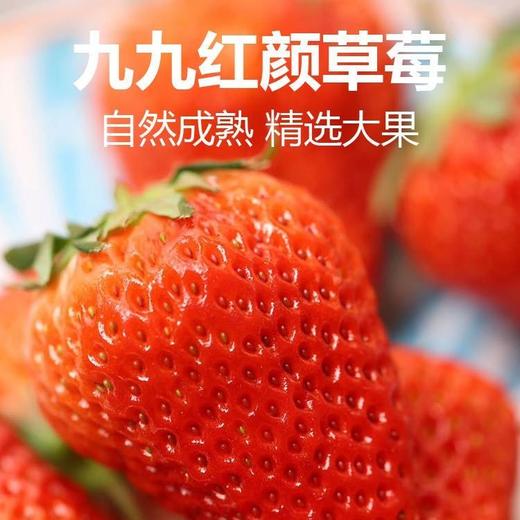 精选丹东99草莓 商品图4