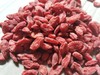 头茬沙漠枸杞 无农药不熏硫 枸杞多糖含量高 商品缩略图1